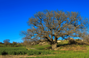 Coach Harderwijk - Coaching & Training Harderwijk