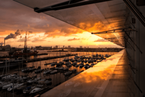 stuiver-coaching-harderwijk